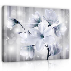 Consalnet Vászonkép, Magnólia, 80x60 cm méretben (C5-2515O6)
