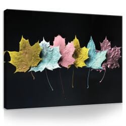 Consalnet Vászonkép, Szines levelek, 60x40 cm méretben (C5-11773O4)