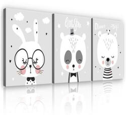 Consalnet Vászonkép 3 darabos, Alvó állatok, 3 db 25x25 cm méret (C5-13493S13)