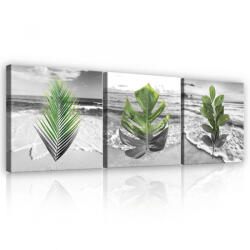 Consalnet Vászonkép 3 darabos, Levelek, 3 db 25x25 cm méret (C5-12987S13)