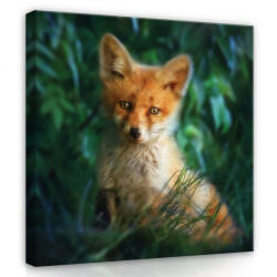 Consalnet Kölyök róka, vászonkép, 40x40 cm méretben (C5-12522O5)