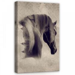 Consalnet Ló, vászonkép, 40x60 cm méretben (C5-13604O4)