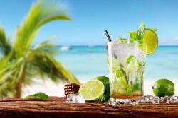 Dimex Vlies Fotótapéta - Mojito drink on beach - 375x250 cm (MS-5-1774)