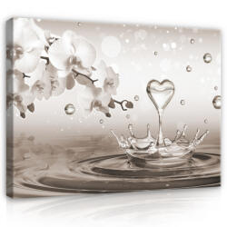 Consalnet Vászonkép, Magnólia vízcsepekkel, 60x40 cm méretben (C5-2530O4)