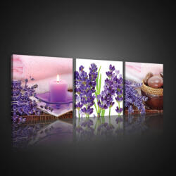 Consalnet Vászonkép 3 darabos, Levendula, 3 db 25x25 cm méret (C5-10541S13)