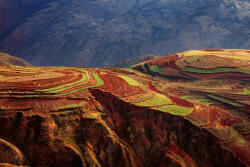 Dimex Vlies Fotótapéta - Colored terraces - 375x250 cm (MS-5-1651)