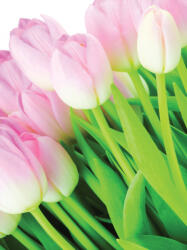 Consalnet Tulipánok poszter, fotótapéta (206 x 275 cm) (C1-8-018VEA)