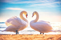 Dimex HEART SHAPE LOVE SYMBOL fotótapéta, poszter, vlies alapanyag, 375x250 cm (MS-5-0414)