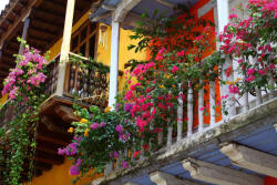 Dimex Vlies Fotótapéta - Balcony with flowers - 375x250 cm (MS-5-0789)