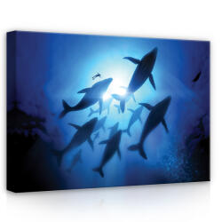 Consalnet Delfinek, vászonkép, 70x50 cm méretben (C5-12628O7)