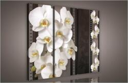 Consalnet Orchidea minta, 3 darabos vászonkép, 90x80 cm méretben (C5-835S6)