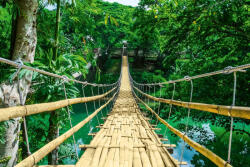 Dimex Vlies Fotótapéta - Bamboo hanging bridge - 375x250 cm (MS-5-0663)