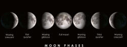 Dimex Vlies Fotótapéta - Moon phases - 375x250 cm (MS-5-2229)