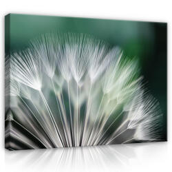 Consalnet Vászonkép, Pitypang, 100x75 cm méretben (C5-118O1)