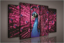 Consalnet Vászonkép, 5 darabos Páva 150x100 cm méretben (C5-1075S12)