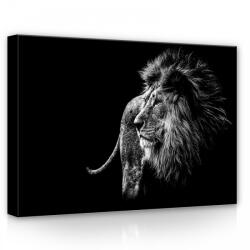 Consalnet Oroszlán, vászonkép, 70x50 cm méretben (C5-12724O7)