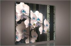 Consalnet Orchidea minta, 3 darabos vászonkép, 90x80 cm méretben (C5-839S6)
