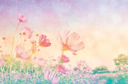 Dimex VINTAGE PASTEL FLOWERS fotótapéta, poszter, vlies alapanyag, 375x250 cm (MS-5-2001)