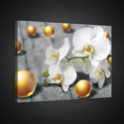 Consalnet Vászonkép, Orchidea gömbökkel, 80x60 cm méretben (C5-2421O6)