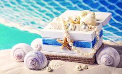 Consalnet Kagylók poszter, fotótapéta, Vlies (416 x 254 cm) (C1-1638VEXXXL)