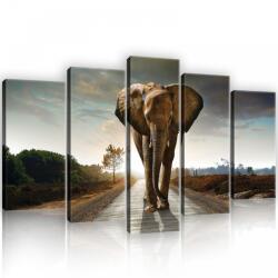 Consalnet Vászonkép 5 darabos, Elefánt 100x60 cm méretben (C5-12616S17)