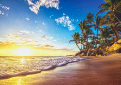 Sverus Fotótapéta Tropical Paradise Beach, 368 x 254 cm (SV-39577231WM-368X254CM)