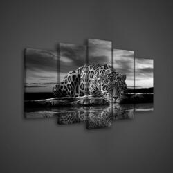 Consalnet Vászonkép 5 darabos, Jaguár 100x60 cm méretben (C5-171S17)
