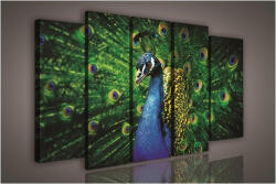 Consalnet Vászonkép, 5 darabos Páva 150x100 cm méretben (C5-1077S12)