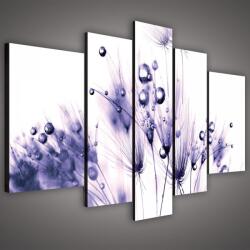 Consalnet Vászonkép, 5 darabos, Vízcseppes pitypang 170x100 cm méretben (C5-1571S4A)