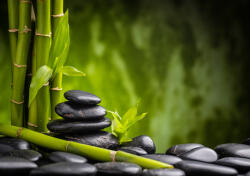 Consalnet Zen poszter, fotótapéta, Vlies (416 x 290 cm) (C1-13036VEXXXXL)