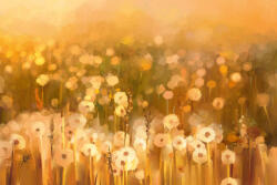 Dimex Vlies Fotótapéta - Vintage dandelion flowers - 375x250 cm (MS-5-1968)