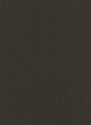 Erismann Fekete-arany csík struktúrált tapéta (Spotlight 10437-15) (10437-15)