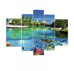 Consalnet Vászonkép, 5 darabos, Tengeri állatvilág 170x100 cm méretben (C5-20056S4A)