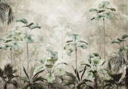 Consalnet Bokorpálmák poszter, fotótapéta, Vlies (104 x 70, 5 cm) (C1-15096VEM)