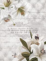 Consalnet Virágok poszter, fotótapéta, Vlies (206x275 cm, álló) (C1-10051VEA)