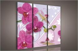 Consalnet Orchidea, 3 darabos vászonkép, 90x80 cm méretben (C5-948S6)