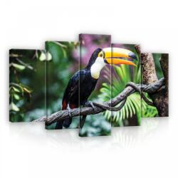 Consalnet Vászonkép 5 darabos, Kakadu 100x60 cm méretben (C5-12222S17)