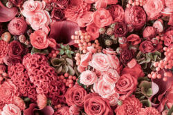 Dimex Vlies Fotótapéta - Blooming summer - 375x250 cm (MS-5-1283)