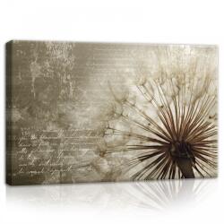 Consalnet Pitypang, vászonkép, 60x40 cm méretben (C5-11683O4)