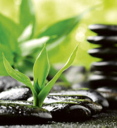 Dimex ZEN STONES fotótapéta, poszter, vlies alapanyag, 225x250 cm (MS-3-0116)