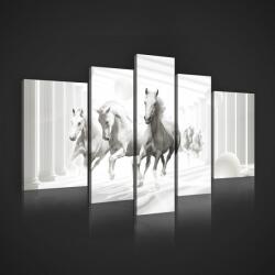 Consalnet Vászonkép, 5 darabos, Lovak 170x100 cm méretben (C5-2423S4A)