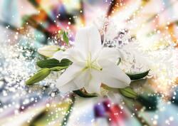 Consalnet Virág minta poszter, fotótapéta Vlies (152, 5 x 104 cm) (C1-3489VEL)