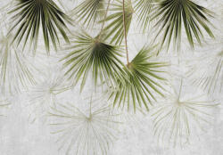 Consalnet Zöld absztrakt trópusi falevelek poszter, fotótapéta, Vlies (416 x 290 cm) (C1-15322VEXXXXL)