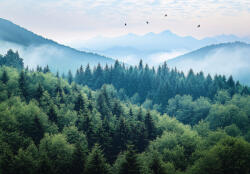 Consalnet Erdős hegyhátak poszter, fotótapéta, Vlies (200 x 140 cm) (C1-15630VX4)