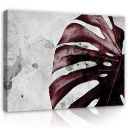 Consalnet Vászonkép, Levél, 100x75 cm méretben (C5-13517O1)