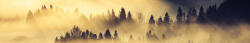 Dimex FOREST LANDSCAPE IN MORNING öntapadós konyhai poszter, 350x60 cm (KI-350-142)