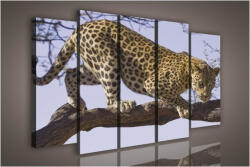 Consalnet Vászonkép, 5 darabos Leopárd a fán 150x100 cm méretben (C5-1136S12)