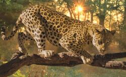 Consalnet Jaguár poszter, fotótapéta (104 x 70, 5 cm) (C1-242VEM)
