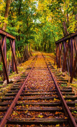 Dimex RAILROAD fotótapéta, poszter, vlies alapanyag, 150x250 cm (MS-2-0055)