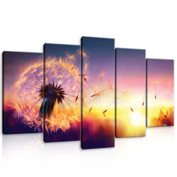 Consalnet Vászonkép 5 darabos, Pitypang napfelkeltekor 100x60 cm méretben (C5-11416S17)